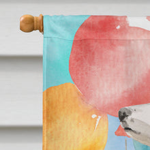 Load image into Gallery viewer, Happy Birthday Border Collie Flag Canvas House Size CK3242CHF