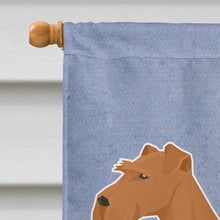 Load image into Gallery viewer, Irish Terrier Welcome Flag Canvas House Size CK3605CHF