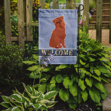Load image into Gallery viewer, Brussels Griffon Welcome Garden Flag – Decorative Outdoor Yard Flag CK3686GF