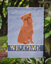 Load image into Gallery viewer, Brussels Griffon Welcome Garden Flag – Decorative Outdoor Yard Flag CK3686GF