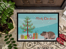 Load image into Gallery viewer, Skinny Guinea Pig Merry Christmas Doormat - 24x36 Decorative Floor Mat – Indoor/Outdoor Rug with Artistic Flair CK4447JMAT