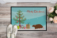 Load image into Gallery viewer, Rex Rat Merry Christmas Doormat - 18x27 Decorative Floor Mat – Indoor/Outdoor Rug with Artistic Flair CK4474MAT
