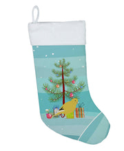 Load image into Gallery viewer, Border Canary Merry Christmas Christmas Stocking