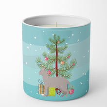 Load image into Gallery viewer, Don Sphynx Cat Merry Christmas 10 oz Decorative Soy Candle