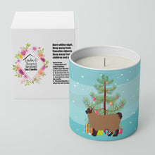 Load image into Gallery viewer, Owyhee Bob #2 Cat Merry Christmas 10 oz Decorative Soy Candle