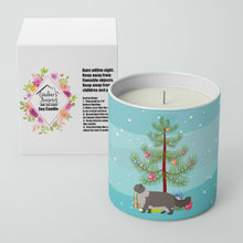 Load image into Gallery viewer, Persian Modern #2 Cat Merry Christmas 10 oz Decorative Soy Candle