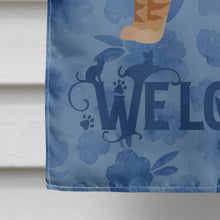 Load image into Gallery viewer, American Wirehair #2 Cat Welcome Flag Canvas House Size CK4823CHF