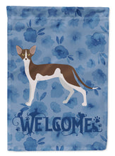 Load image into Gallery viewer, Oriental Shorthair #2 Cat Welcome Garden Flag - Outdoor Decorative Yard Flag CK4940GF