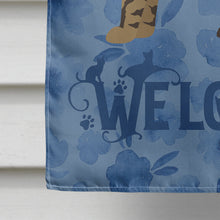 Load image into Gallery viewer, Scottish Straight #2 Cat Welcome Flag Canvas House Size CK4972CHF