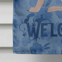 Load image into Gallery viewer, Don Sphynx Cat Welcome Flag Canvas House Size CK5031CHF