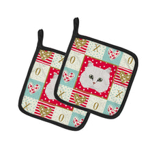 Load image into Gallery viewer, Chinchilla Persian Longhair Cat Love Pot Holders - Set of 2 - Heat-Resistant Kitchen Essentials CK5103PTHD