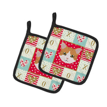 Load image into Gallery viewer, European Shorthair Cat Love Pot Holders - Set of 2 - Heat-Resistant Kitchen Essentials CK5116PTHD