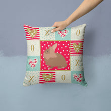 Load image into Gallery viewer, Lionhead Rabbit Love Throw Pillow - 14x14 Decorative Pillow – Art for Your Home &amp; Patio CK5387PW1414