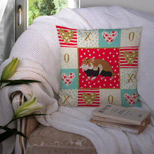 Load image into Gallery viewer, European Hamster Love Throw Pillow - 14x14 Decorative Pillow – Art for Your Home &amp; Patio CK5441PW1414