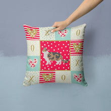 Load image into Gallery viewer, Ragamuffin #2 Cat Love Throw Pillow - 14x14 Decorative Pillow – Art for Your Home &amp; Patio CK5685PW1414