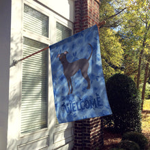 Load image into Gallery viewer, Argentine Pila Dog Welcome Flag Canvas House Size CK5965CHF