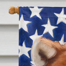 Load image into Gallery viewer, Akita American Flag Flag Canvas House Size CK6387CHF