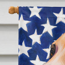 Load image into Gallery viewer, Alano Espanol American Flag Flag Canvas House Size CK6388CHF