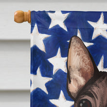 Load image into Gallery viewer, American Hairless Terrier American Flag Flag Canvas House Size CK6400CHF