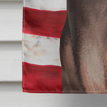 Load image into Gallery viewer, American Hairless Terrier American Flag Flag Canvas House Size CK6400CHF