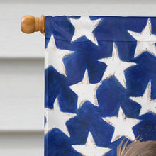 Load image into Gallery viewer, American Water Spaniel  American Flag Flag Canvas House Size CK6402CHF