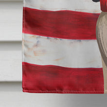 Load image into Gallery viewer, Ariegeois Dog American Flag Flag Canvas House Size CK6407CHF
