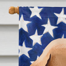Load image into Gallery viewer, Azawakh Hound American Flag Flag Canvas House Size CK6416CHF