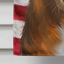 Load image into Gallery viewer, Basque Shepherd Dog American Flag Flag Canvas House Size CK6418CHF
