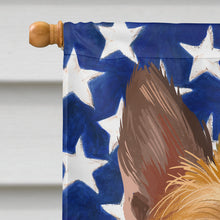 Load image into Gallery viewer, Belgian Laekenois American Flag Flag Canvas House Size CK6427CHF