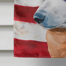 Load image into Gallery viewer, Blue Heeler Dog American Flag Flag Canvas House Size CK6441CHF