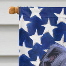 Load image into Gallery viewer, Blue Lacy Dog American Flag Flag Canvas House Size CK6442CHF