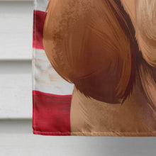 Load image into Gallery viewer, Bracco Italiano Dog American Flag Flag Canvas House Size CK6456CHF