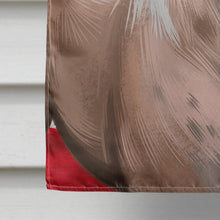Load image into Gallery viewer, Braque du Bourbonnais American Flag Flag Canvas House Size CK6458CHF