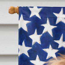 Load image into Gallery viewer, Briard Dog American Flag Flag Canvas House Size CK6461CHF