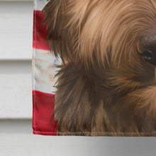 Load image into Gallery viewer, Briard Dog American Flag Flag Canvas House Size CK6461CHF
