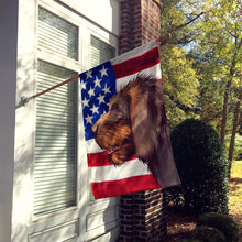 Load image into Gallery viewer, Cesky Fousek Dog American Flag Flag Canvas House Size CK6484CHF