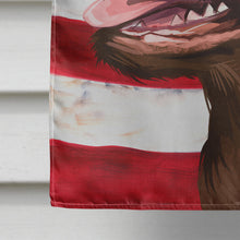 Load image into Gallery viewer, Chesapeake Bay Retriever American Flag Flag Canvas House Size CK6486CHF