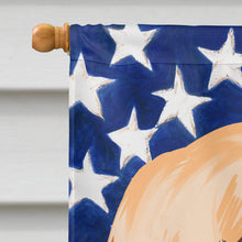 Load image into Gallery viewer, Fila Brasileiro Dog American Flag Flag Canvas House Size CK6522CHF