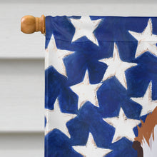 Load image into Gallery viewer, Finnish hound Dog American Flag Flag Canvas House Size CK6523CHF
