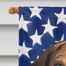 Load image into Gallery viewer, Hygenhund Dog American Flag Flag Canvas House Size CK6564CHF