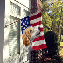 Load image into Gallery viewer, Istrian Coarse-haired Hound American Flag Flag Canvas House Size CK6574CHF