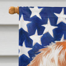 Load image into Gallery viewer, Istrian Shorthaired Hound American Flag Flag Canvas House Size CK6575CHF