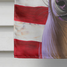 Load image into Gallery viewer, Italian Greyhound American Flag Flag Canvas House Size CK6576CHF