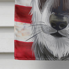 Load image into Gallery viewer, Jamthund American Flag Flag Canvas House Size CK6579CHF