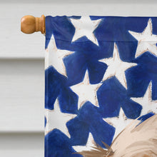 Load image into Gallery viewer, Leonberger American Flag Flag Canvas House Size CK6606CHF