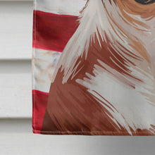 Load image into Gallery viewer, Majorca Ratter American Flag Flag Canvas House Size CK6610CHF