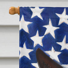 Load image into Gallery viewer, Mexican Hairless Dog American Flag Flag Canvas House Size CK6614CHF