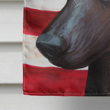 Load image into Gallery viewer, Mexican Hairless Dog American Flag Flag Canvas House Size CK6614CHF