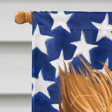 Load image into Gallery viewer, Miniature Australian Shepherd American Flag Flag Canvas House Size CK6616CHF