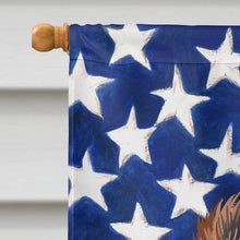 Load image into Gallery viewer, Picardy Spaniel Dog American Flag Flag Canvas House Size CK6645CHF